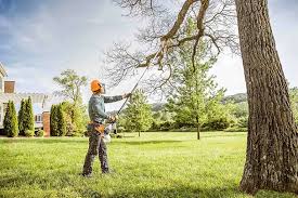 Best Lawn Maintenance Plans  in Raoul, GA